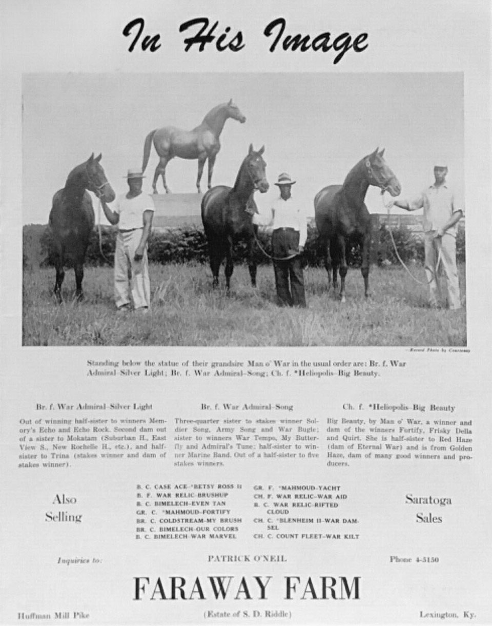 Stallion Stud Print Ads For Faraway Farms In Lexington KY